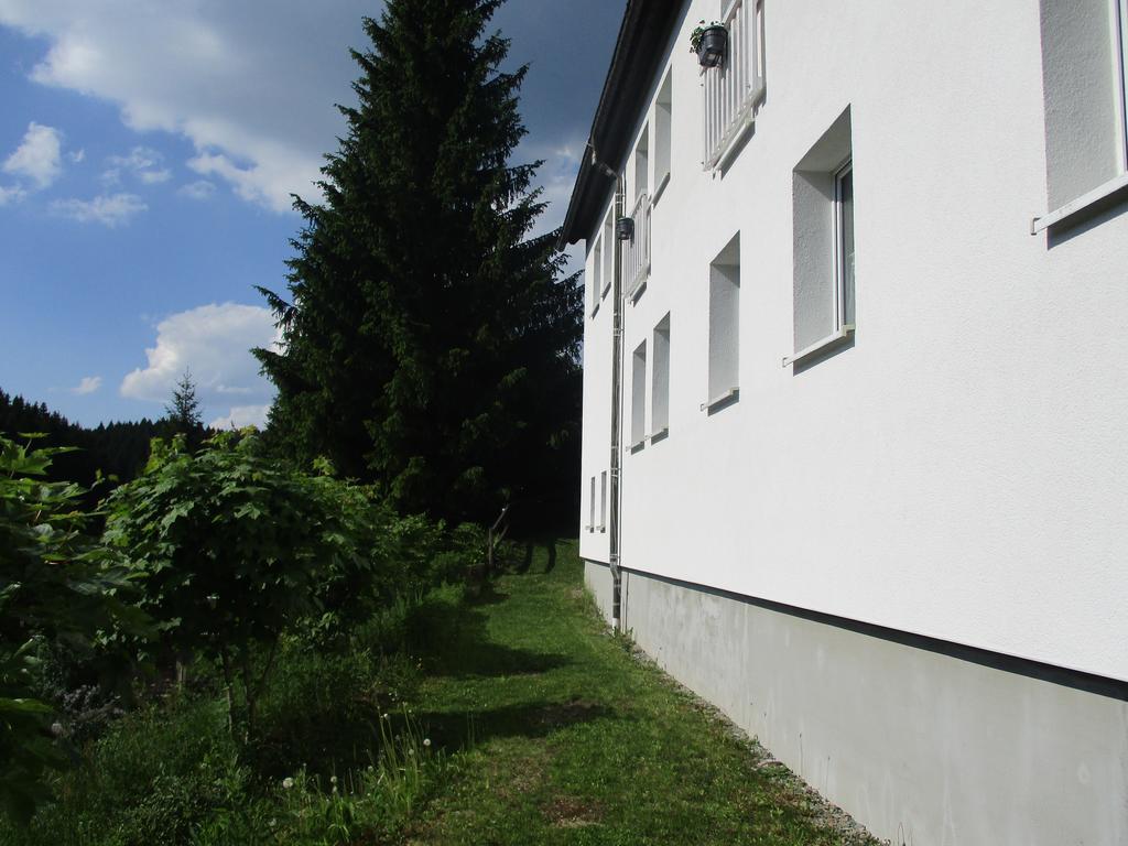 Greizer Kammhuette Gaststaette & Pension Klingenthal Exterior foto