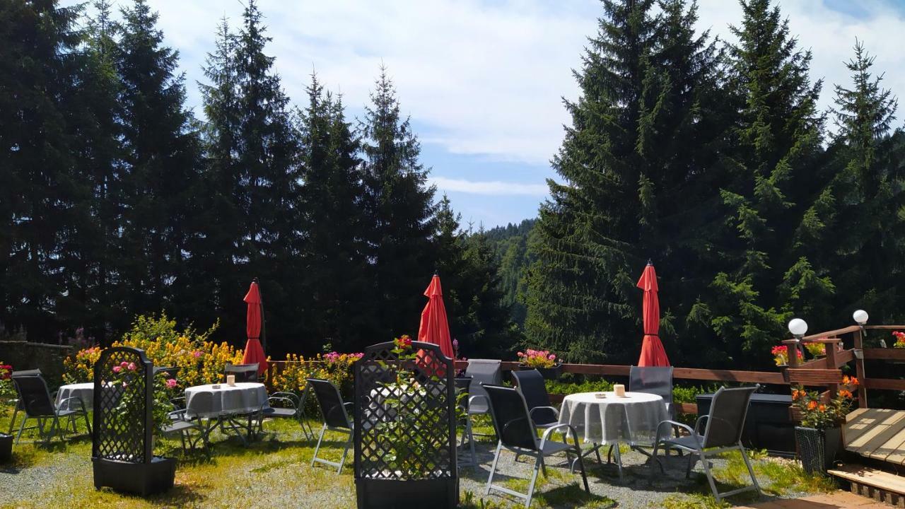 Greizer Kammhuette Gaststaette & Pension Klingenthal Exterior foto